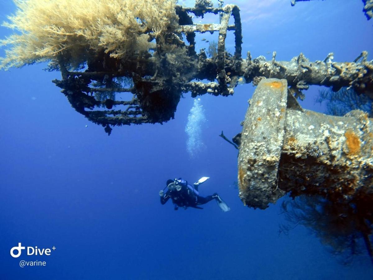 Aqaba Pro Divers מראה חיצוני תמונה