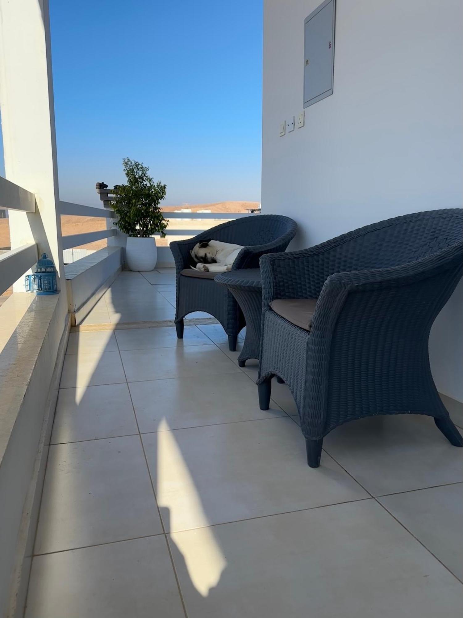 Aqaba Pro Divers מראה חיצוני תמונה